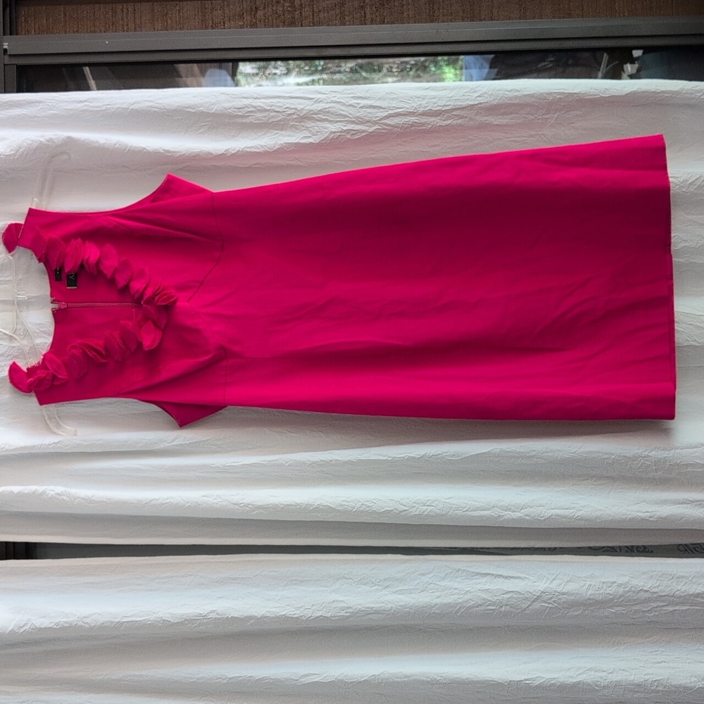Vibrant Pink Dress
